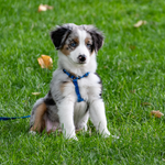 Translation missing: de.blocks.social_proof.profile_alt