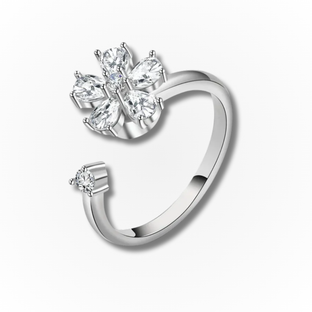 Anker-Ring